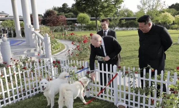 北韓領導人金正恩贈送普丁一對豐山獵犬。圖/取自新華網