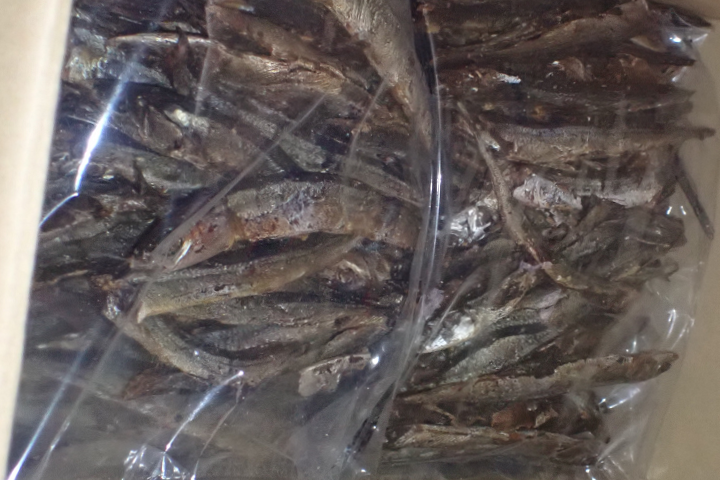 食藥署邊境檢驗查出致癌物超標40倍的日本秋刀魚乾。圖/取自食藥署官網