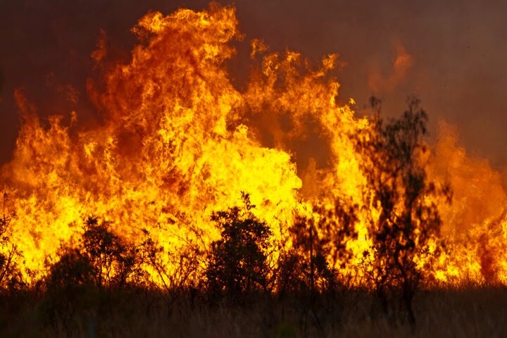 西澳爆發嚴重森林大火。圖/取自澳洲《天空新聞》官方《YouTube》頻道