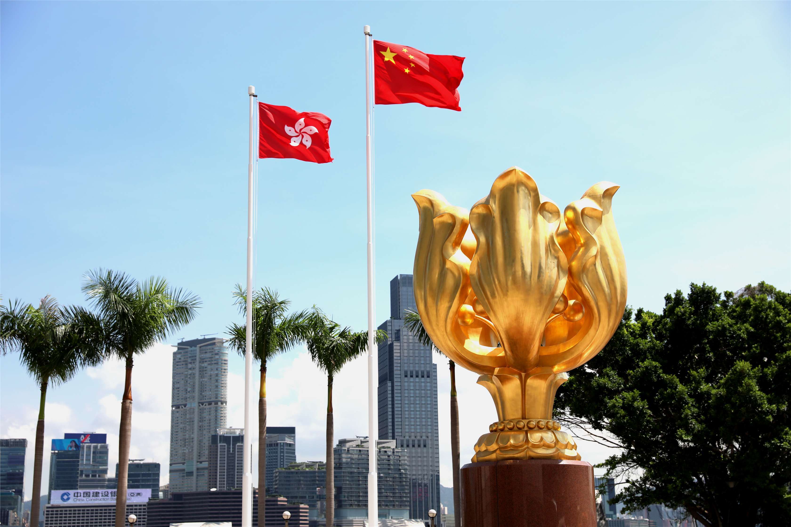 陸委會27日宣布提升陸港澳旅遊警示，香港特區政府出面強烈譴責。圖／取自新華網