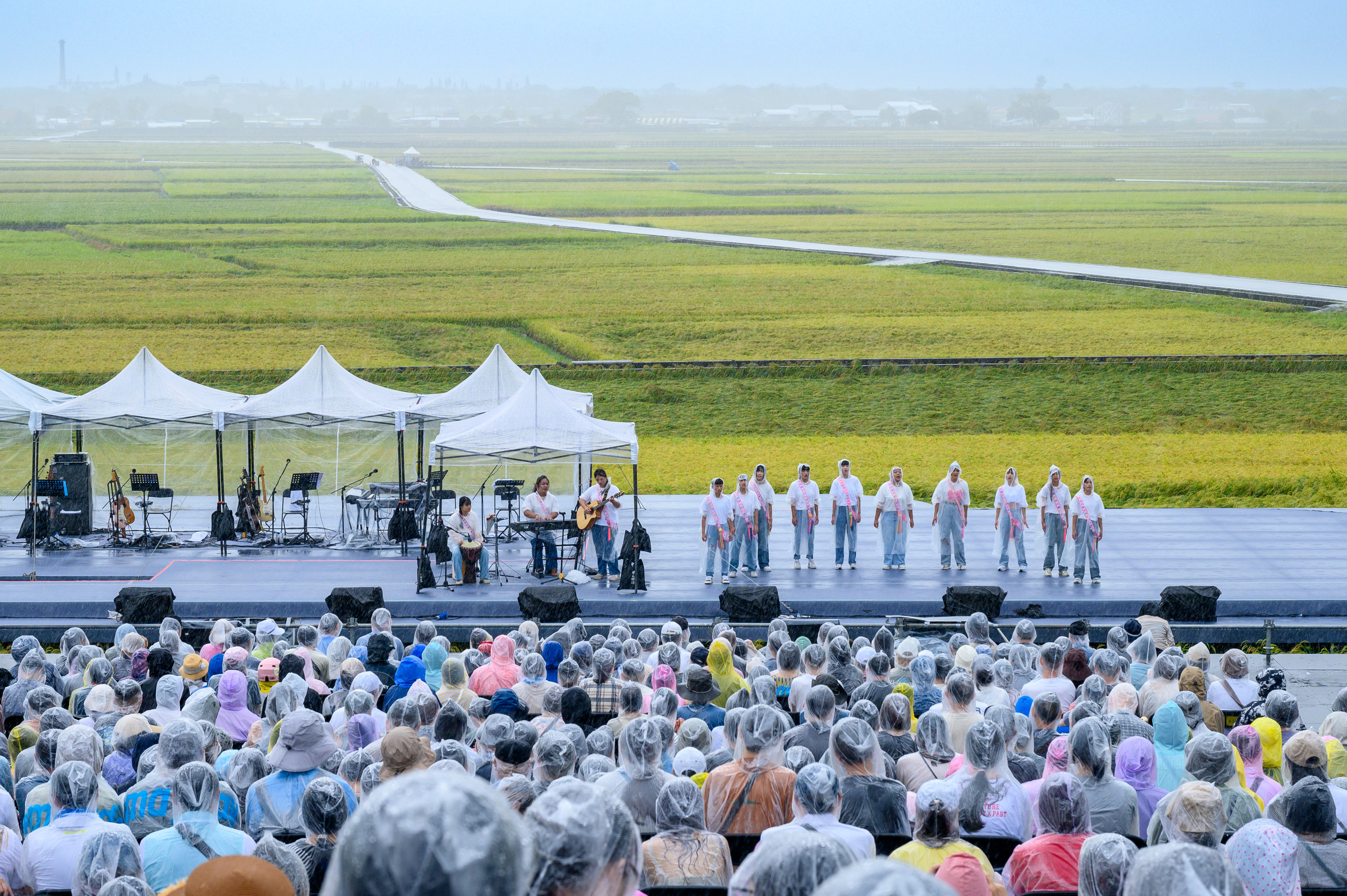 池上在金黃稻浪中看表演的池上秋收藝術節已經成為每年盛典，圖為今年在雨中表演的長濱國中「海子樂團」。圖/台灣好基金會提供