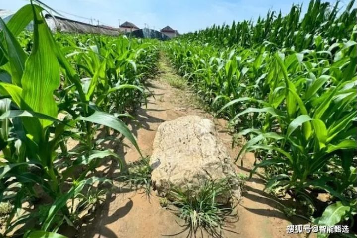傳說仙翁擲山鎮妖 大陸最矮的山 「靜山」獲官方認證