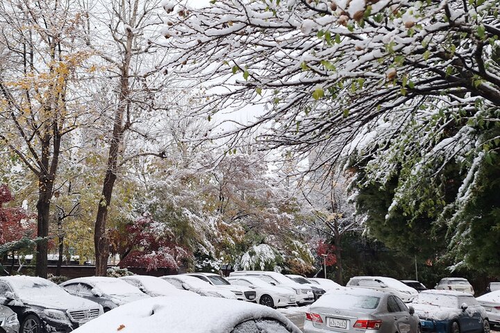 韓國首爾降下創紀錄大雪。圖/取自CS Shin《推特》