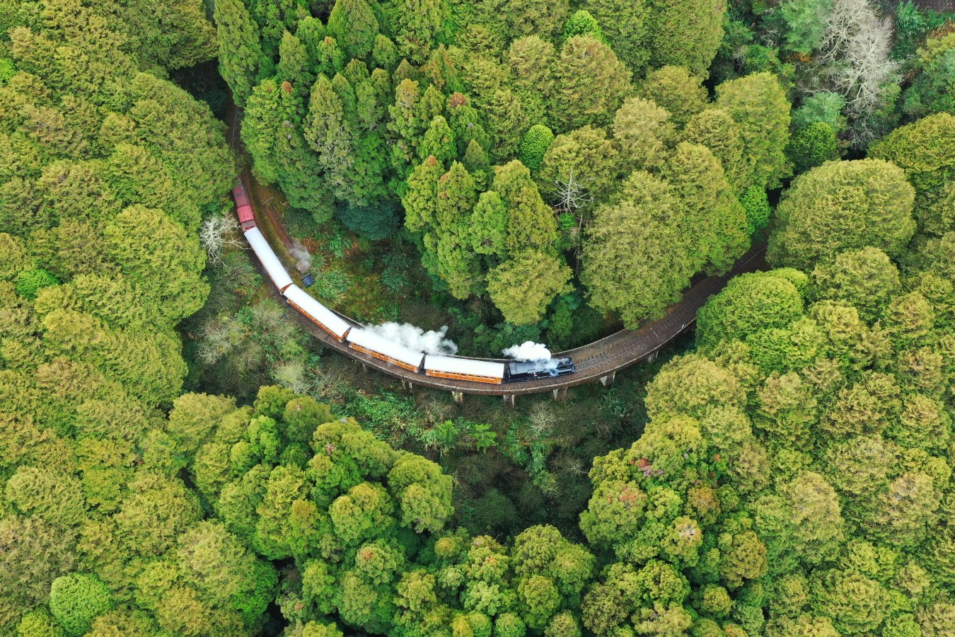 Taiwan PASS台灣燈會限定版來了！3日交通劵+景點門票暢遊嘉義