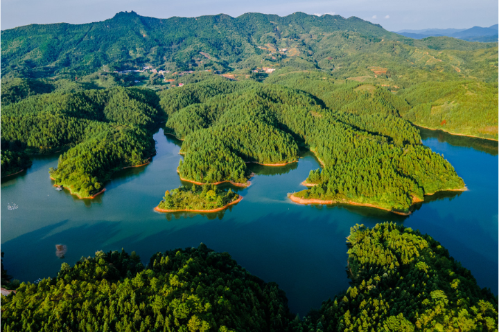 【兩會焦點】第二部「法典」將問世！《生態環境法典草案》四亮點　「環境權」入法