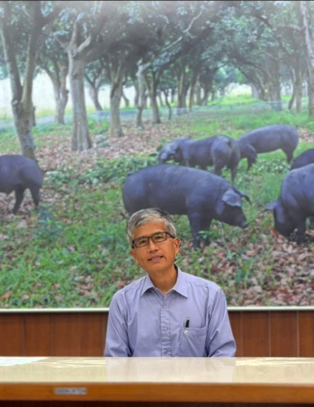 台糖總經理陳立人4日強調，台糖公司絕對不會購買使用瘦肉精。圖/取自經濟部