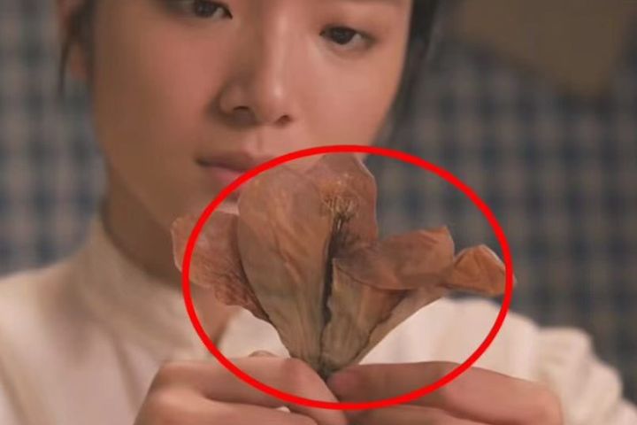 木棉花「花葉永不相見」等意象,也都成為影迷反覆解讀的內容。圖/取自劇照