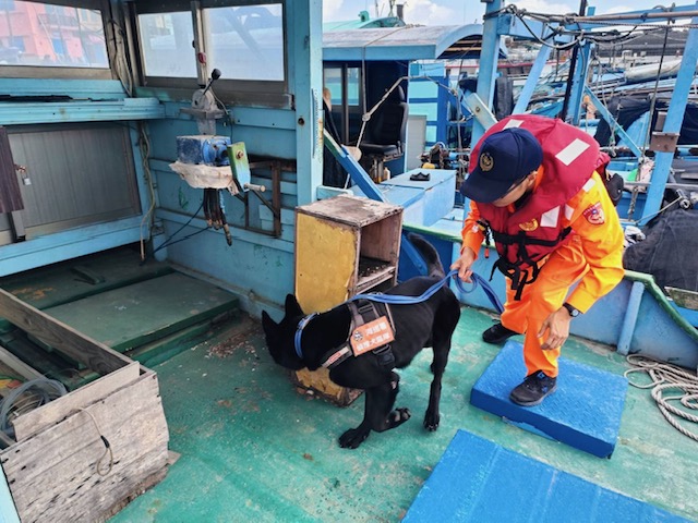 違反證券交易法遭判刑的朱國榮2023年藏匿在遊艇上棄保潛逃出境，當時海巡人員檢查了27分鐘仍未發現異狀，放行出海。圖為登船檢查示意圖，與此案無關。圖/取自海巡署網站