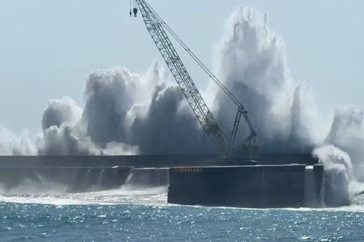 白海豚未到兩岸先槓上　陸宣布台灣海峽交管　陸委會：不勞費心