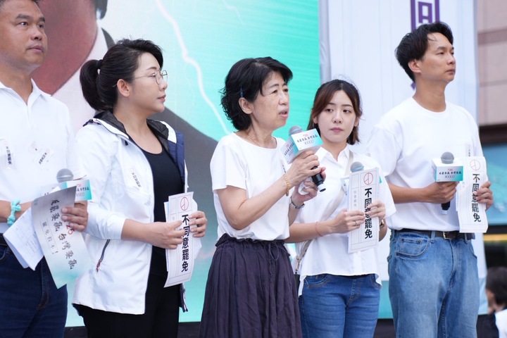 將幫柯文哲爭取投票權　陳佩琪：期待與他一起反罷免