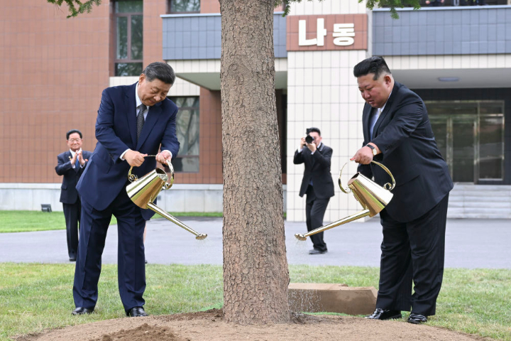 習近平與金正恩種下被視為中朝友誼長存的「樅樹」,並一起培土、澆水。圖/取自新華社