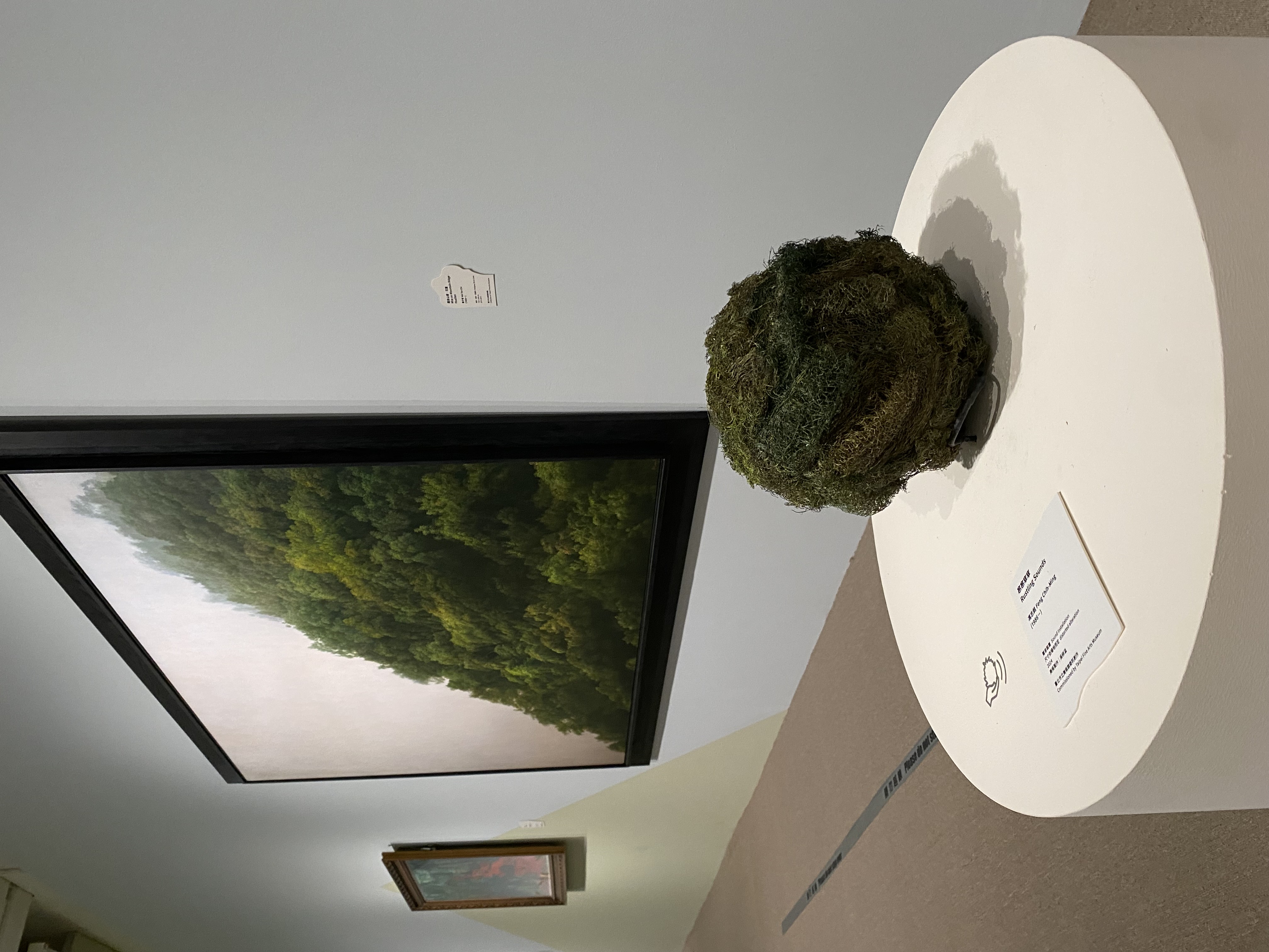 葉子奇《霧來山稜‧花蓮》作品與聲音系列《窸窸窣窣》。圖/田瑜萍攝