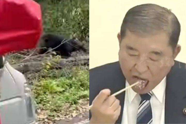 日本黑熊襲擊創新高　石破茂建議「熊肉叉燒配紅酒」引爭議