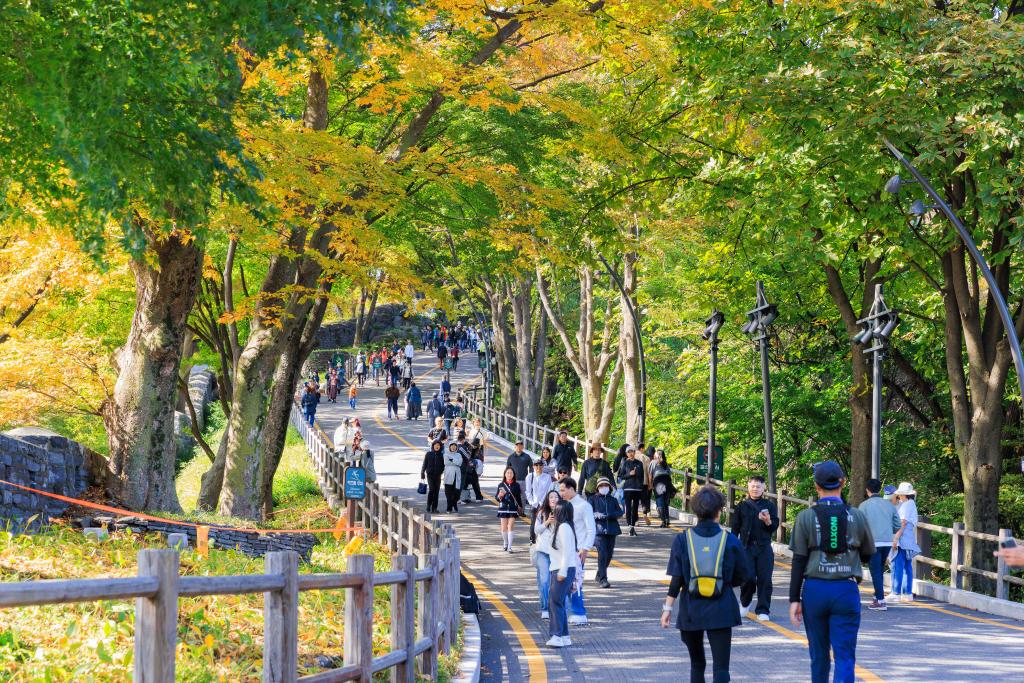 南韓一項統計數據顯示，各級教師精神壓力大，患憂鬱、焦慮症情況增加，圖為韓國首爾南山公園秋景。圖/取自新華網