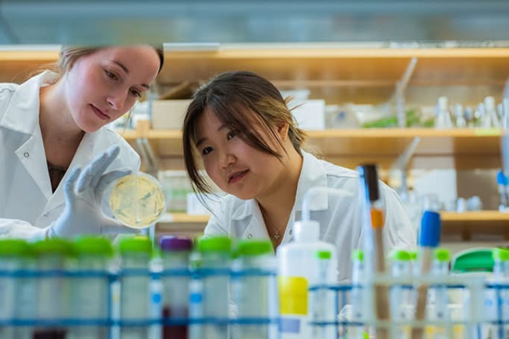 川普禁止哈佛大學招收國際學生  現有外籍生轉學