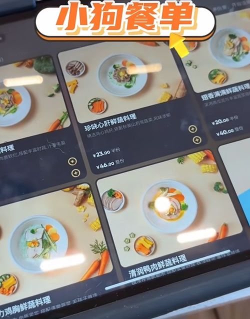 海底撈深圳開出首家寵物友好主題門店有專屬寵物菜單，包括零食、蛋糕和無鹽料理。圖/取自微博影片