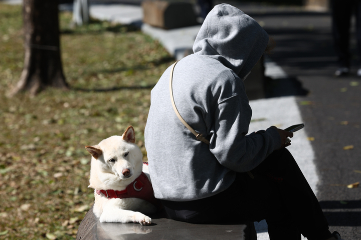 早晚偏冷日夜溫差大　今年首個熱帶低壓已生成恐將成颱