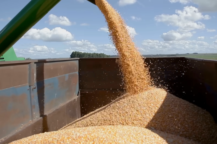 分析師：最高法院裁定後　中國履行美豆採購案可能性下降