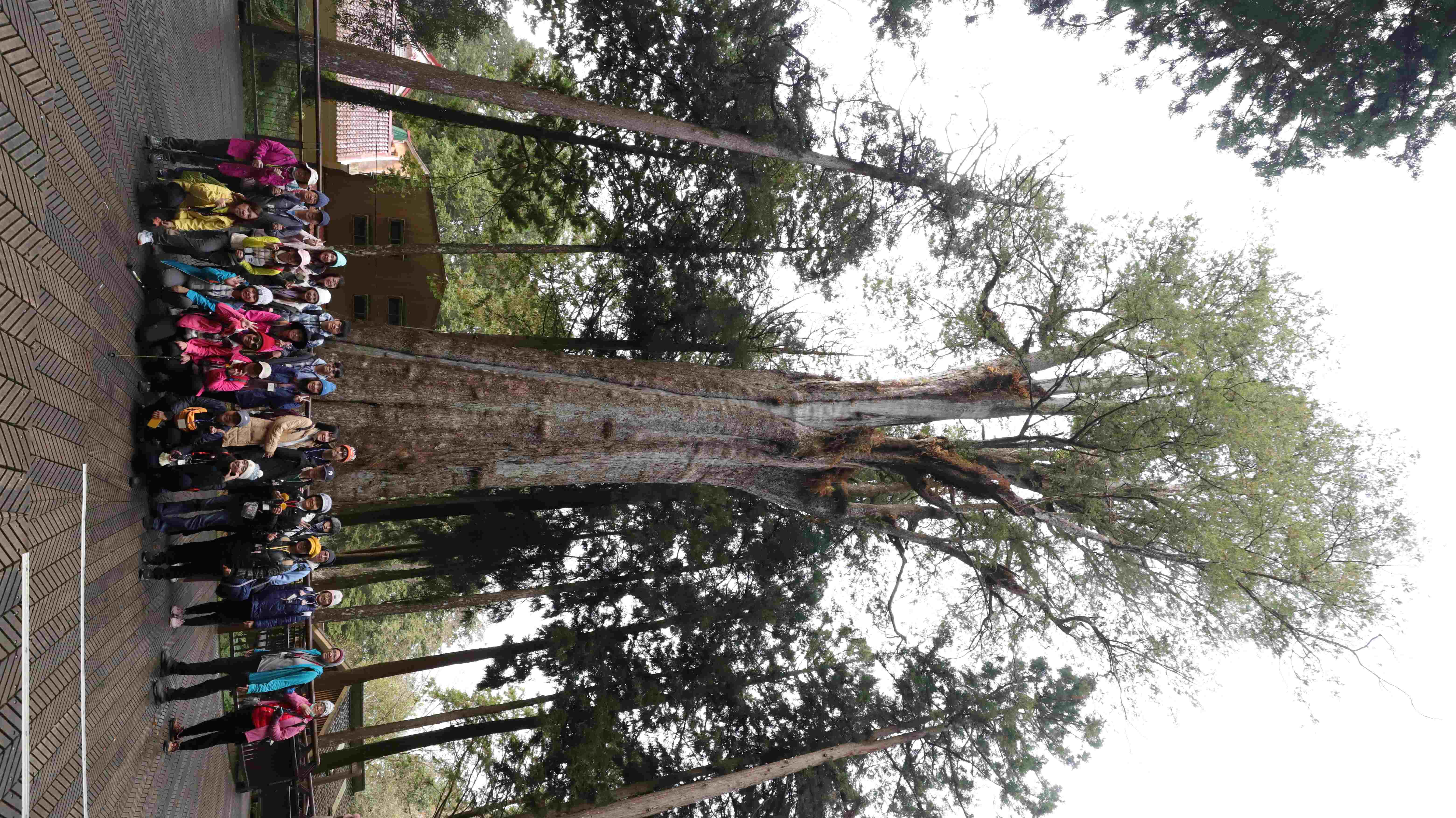 在阿里山的體驗營中不但可欣賞宜人的春景，還可以了解生態奧秘、林業開發歷史等故事。圖/取自林業及自然保育署官方網站