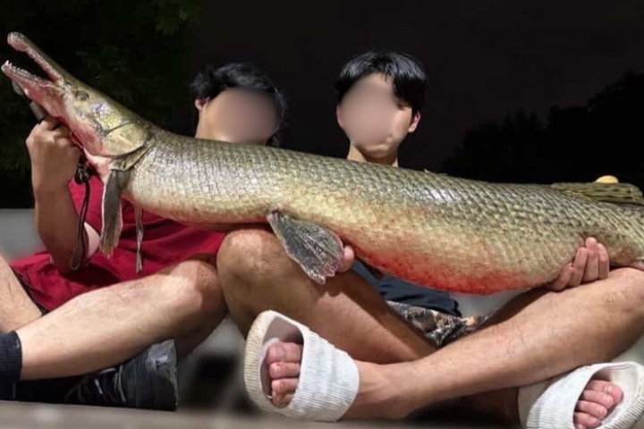 228公園明星變盤中飧！涉案男被爆慣犯昔稱：又沒踐踏生命　我都吃了