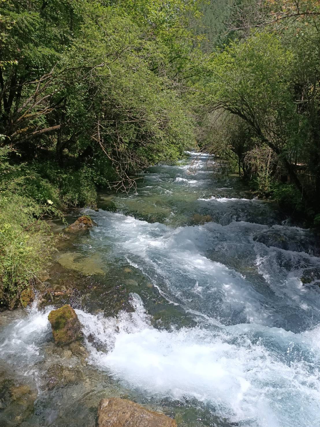 九寨溝珍珠灘瀑布沖進谷底後捲出千堆浪花，山澗隨即向東狂奔而去。圖/記者簡立欣攝