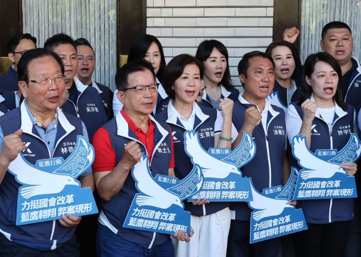 覆議遭否決就喊罷免藍委，國民黨立委賴士葆：難以想像未來4年的光景。圖/林睿康攝