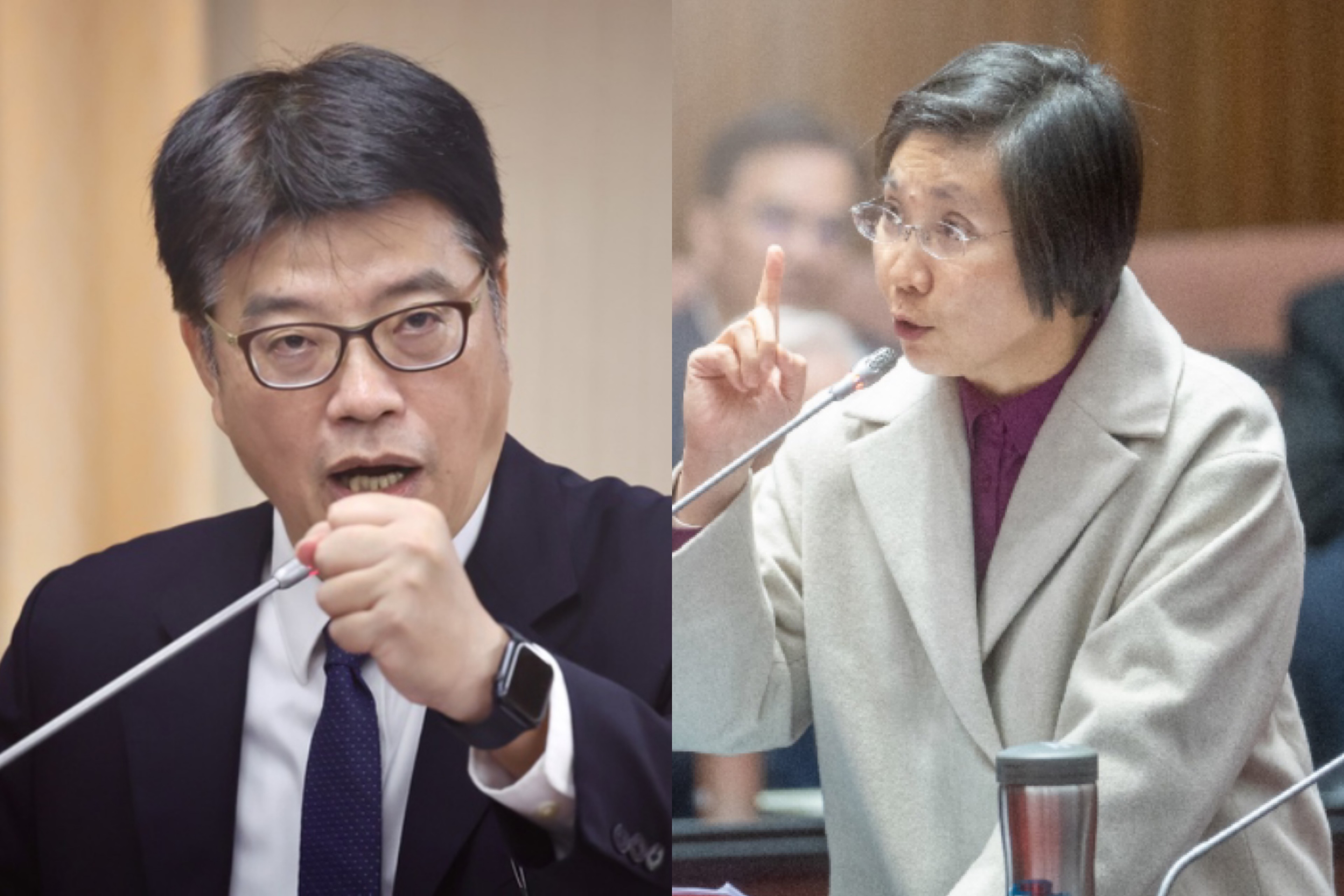 兩岸破冰新提案？徐欣瑩建議邱垂正率先登陸　解圍沈伯洋風波