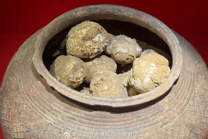 2800年前「西周雞蛋」靠這個「器具」保存下來了