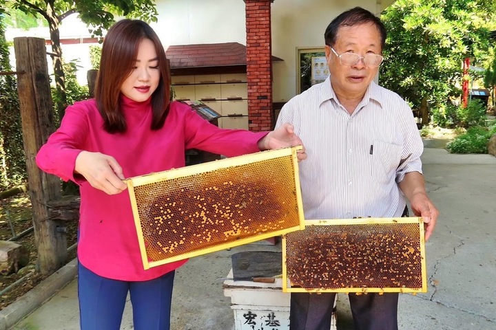 氣候異常重創蜂蜜產量　南投苗栗僅剩2成史上最慘