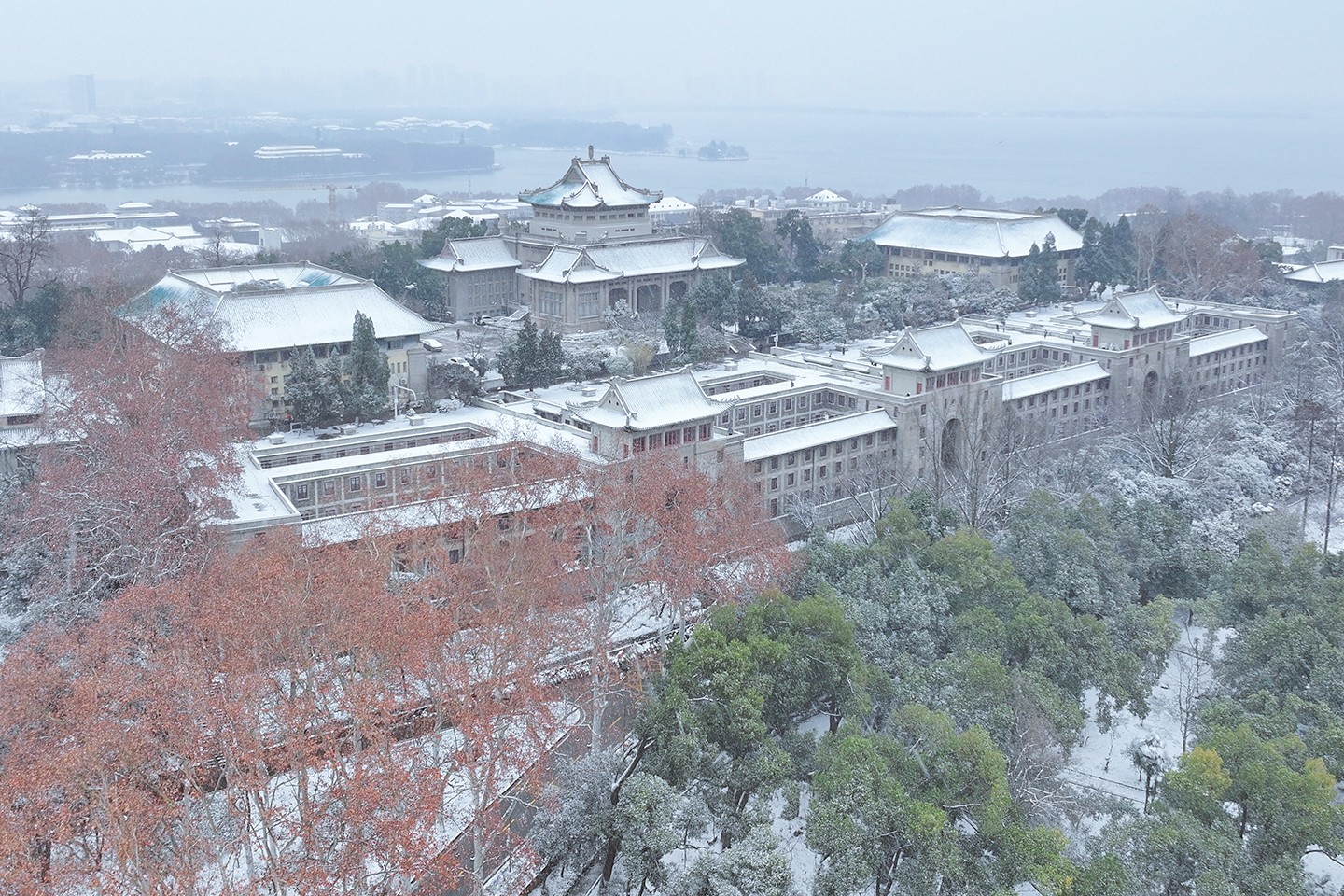【2026陸校招生】一張表搞定35所985陸校學測門檻、錄取名額！武漢大學等3校免面試