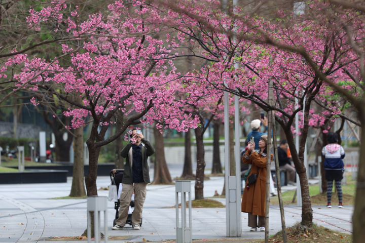 北部短暫回暖　全台早晚仍偏涼　晚間鋒面接近深夜轉雷雨