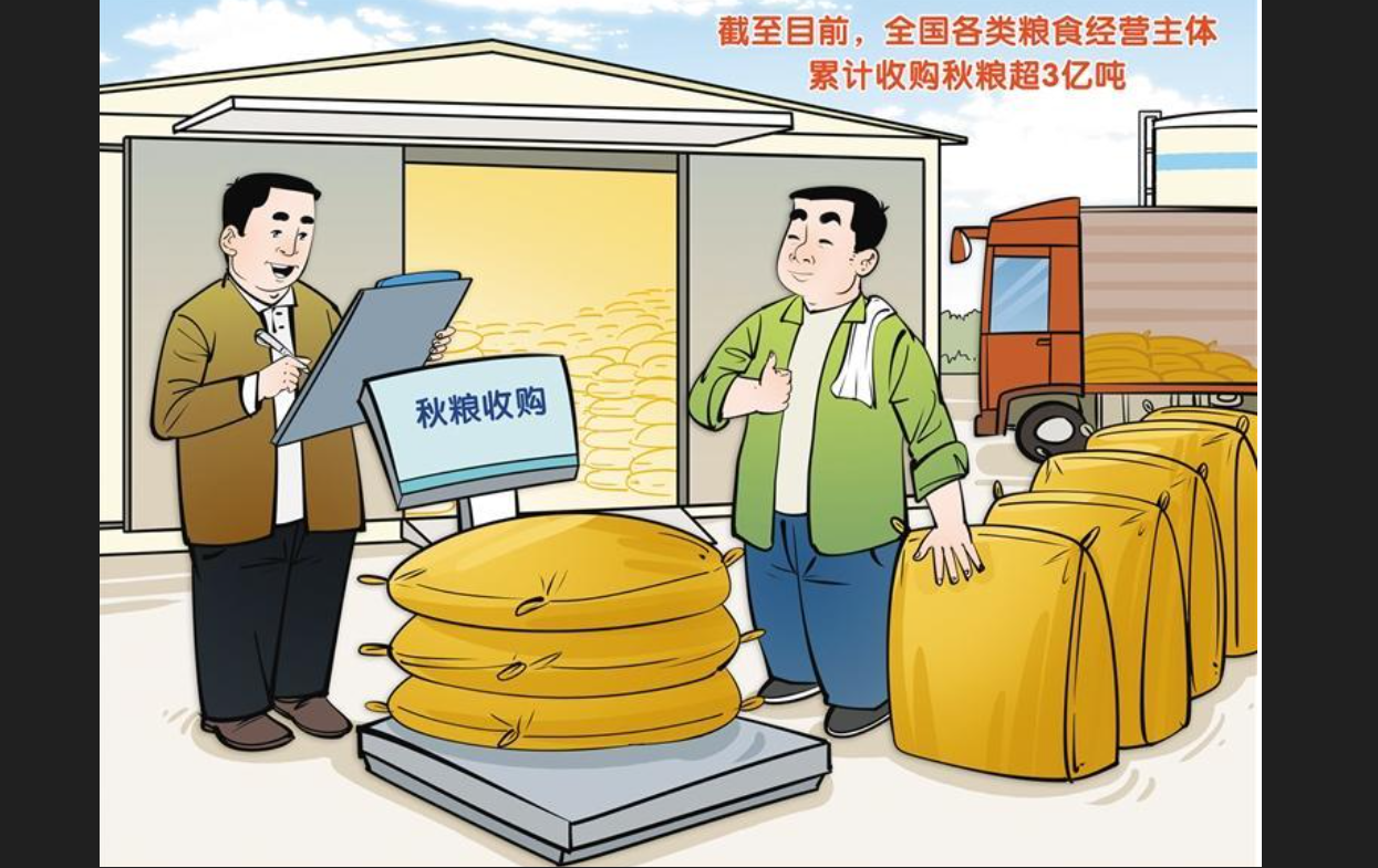 沒錢？還是沒糧？去年大陸秋糧收購量比前年減少