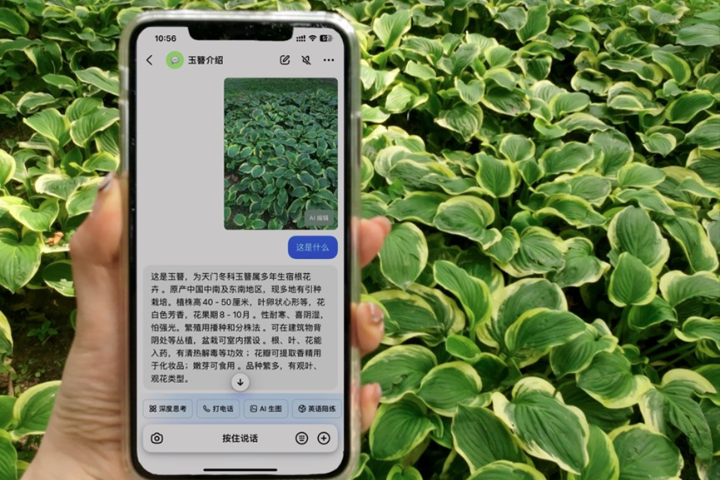 未來旅遊新革命！大陸遊客解鎖「AI＋旅行」新模式  