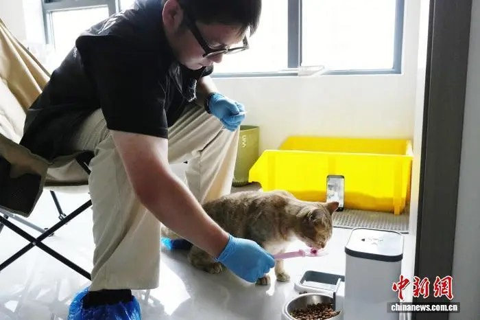 大陸長假引爆寵物托管潮　寄養、餵養服務全面爆單