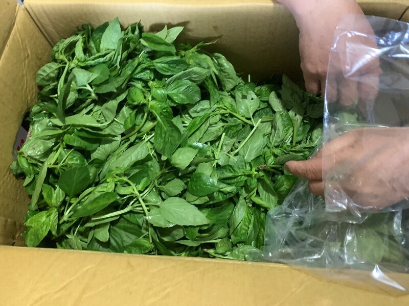 台北市衛生局25日公布最新生鮮蔬果殘留農藥抽驗結果,52件蔬果產品有12件不合格,包含九層塔不合乎規定。圖/中央社