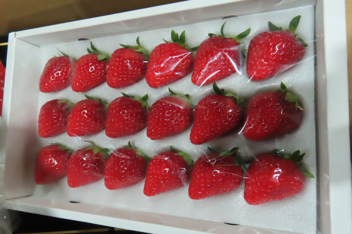 日本進口草莓又驗出違規殘留農藥　邊境監視查驗延長至年底