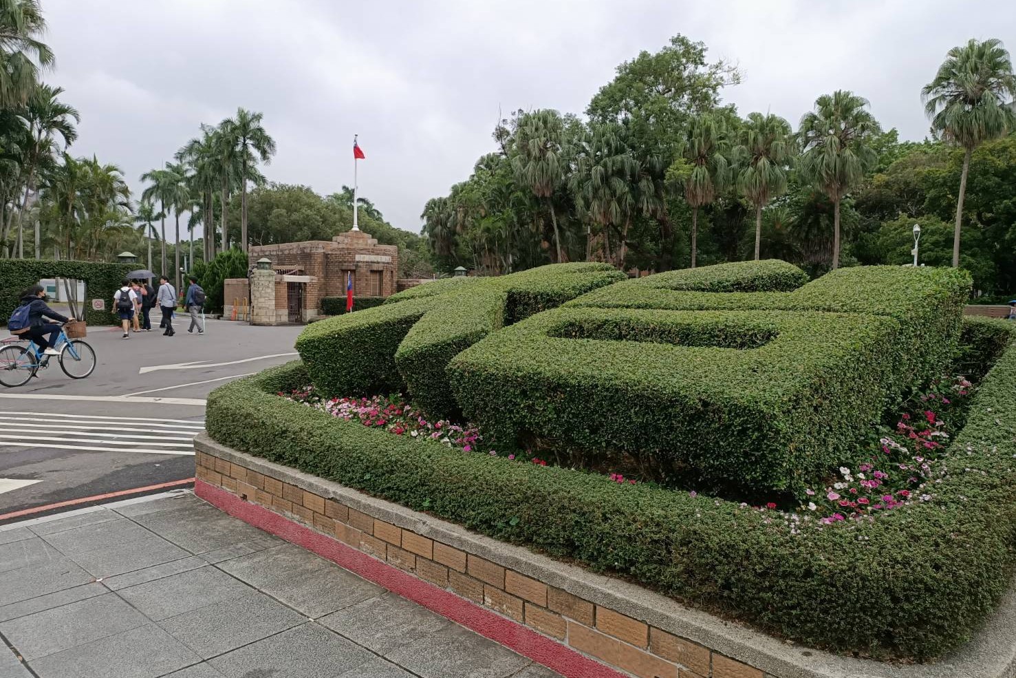 外語系只看國文、台大社會從看數B改數A……專家料「收到很不一樣學生」