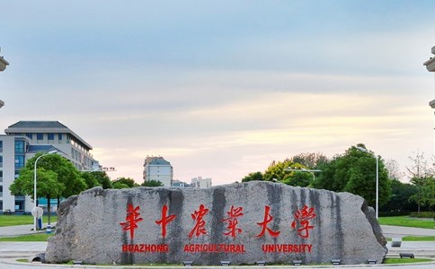 大陸華中農業大學一名教師涉抄襲等學術倫理問題遭學生舉報。圖／取自華中農業大學官網