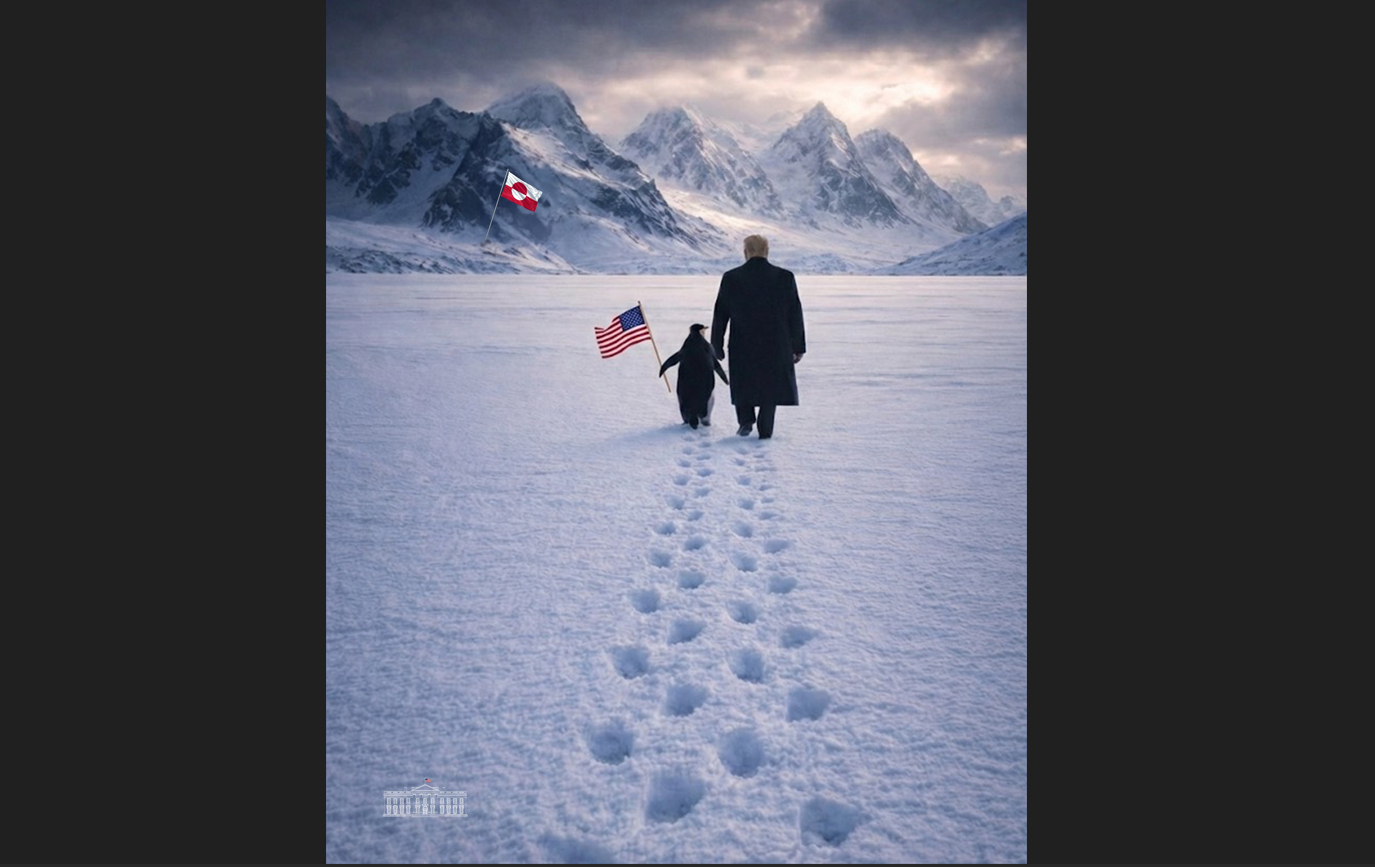 沒人支持川普占領格陵蘭　除了企鵝　白宮也公開背書