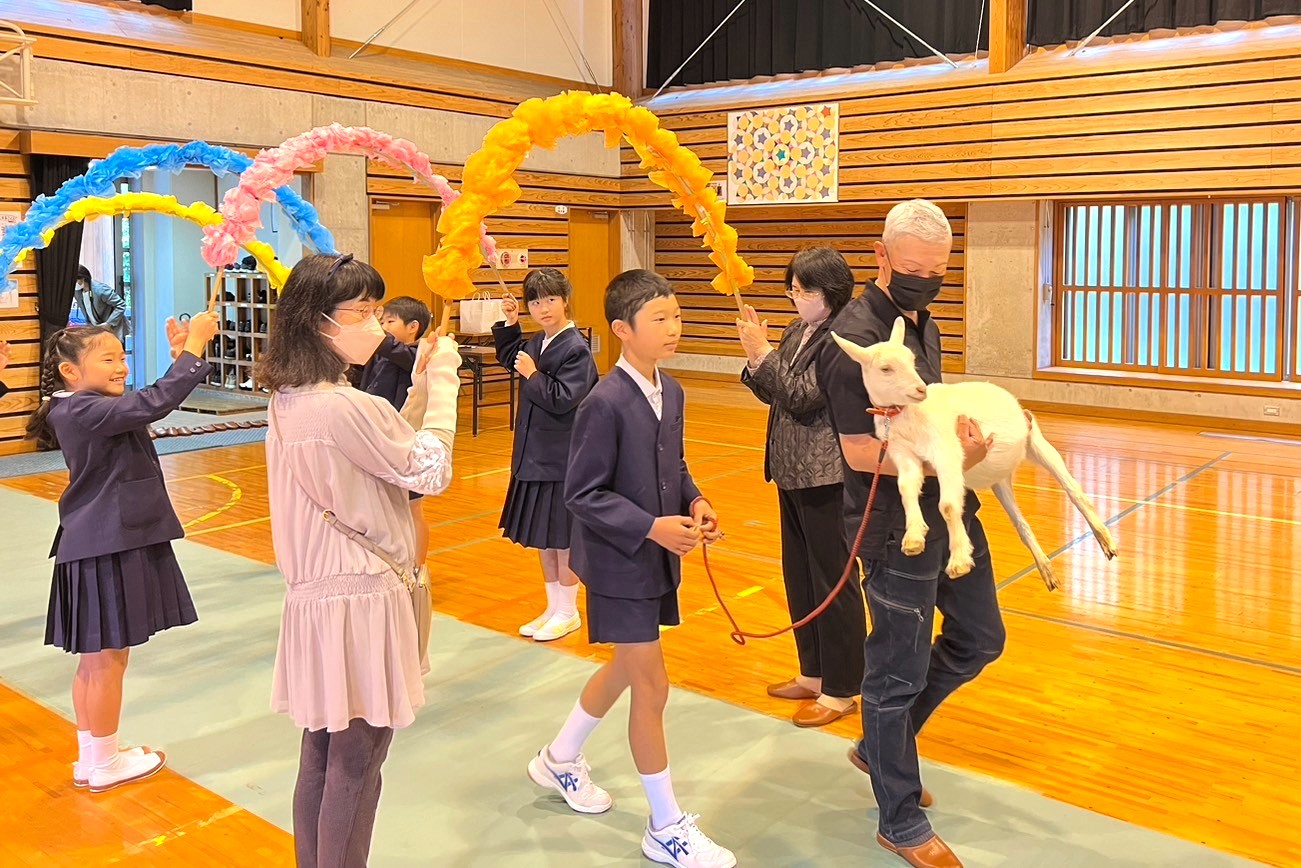 南永小學今年沒新生，特別舉辦「入學儀式」迎接小山羊當「新同學」。圖/取自鹿児島県伊佐市【公式】@isa_kagoshima