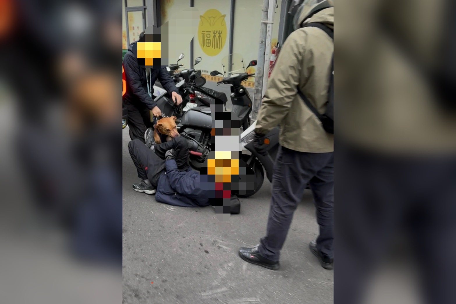 一隻比特犬忽從車窗跳出，並咬傷一旁的機車騎士。圖／取自PTT