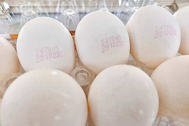 市售雞蛋驗出芬普尼　全聯、楓康：持發票可原店退貨