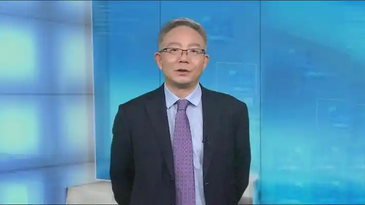 南京大學台研所所長劉相平認為，賴17條是透過「綠色恐怖」打壓支持兩岸和平統一的聲音。圖／取自網易