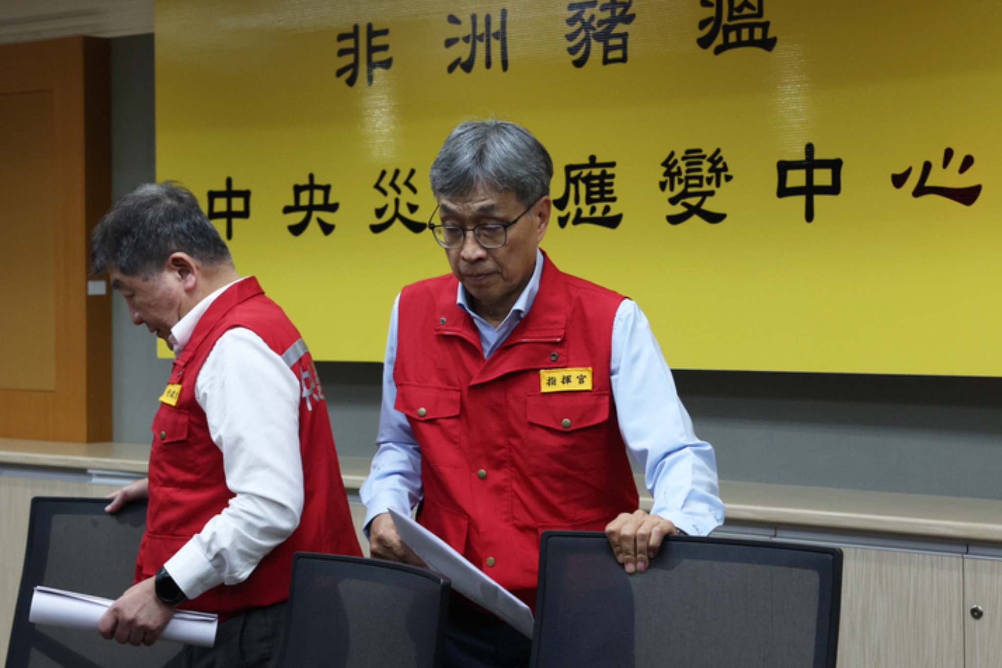 確認非洲豬瘟侵台　農業部：暫停豬肉出口、這三個月是關鍵 