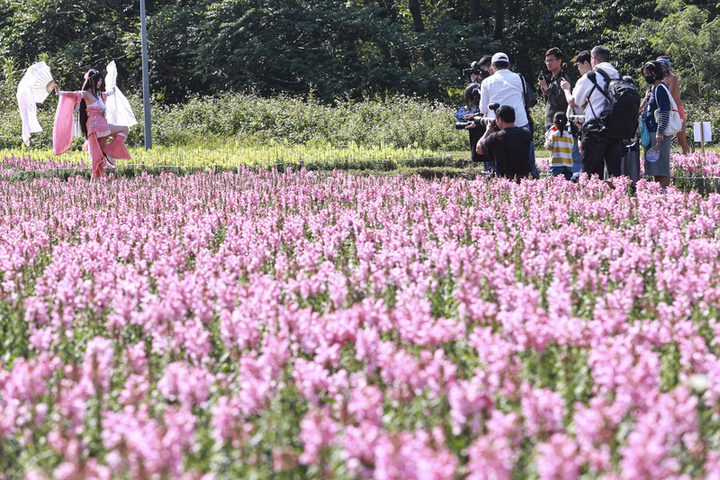小年夜早晚溫差仍大白天晴暖　中部以北及金馬易有局部霧