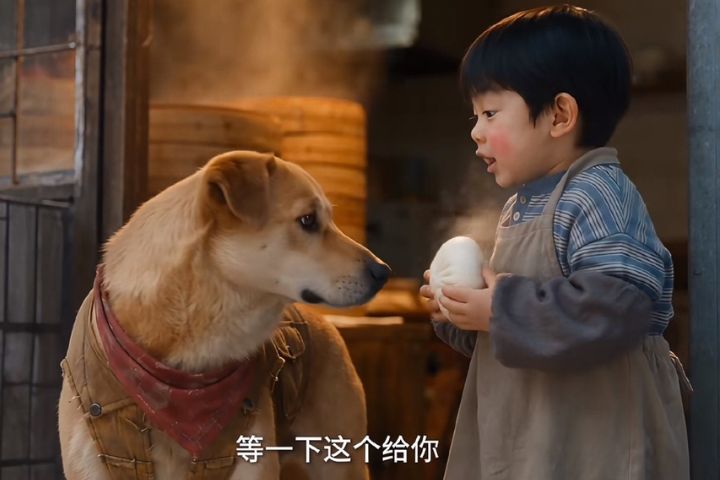從真實寵物到虛擬毛孩,AI正在重新定義「寵物網紅」的門檻。圖/取自影片