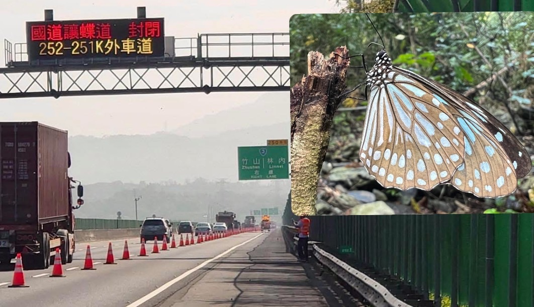 4萬紫斑蝶飛越國道 創我國最早封道讓蝶紀錄