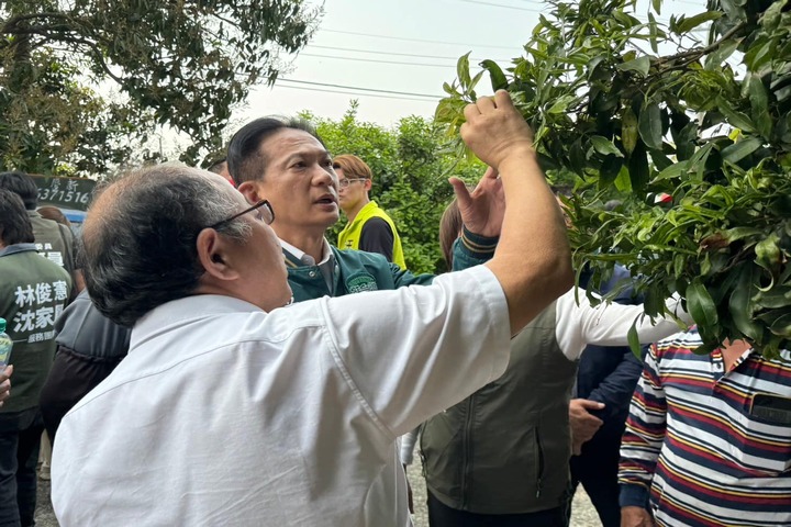 立委林俊憲（中）前往台南東山視察龍眼園開花狀態。圖/取自林俊憲《臉書》