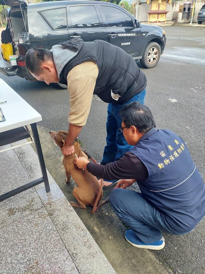 苗栗縣再有2鼬獾感染狂犬病死，當局加強疫苗巡迴設站。圖/取自苗栗縣動物保護防疫所官網