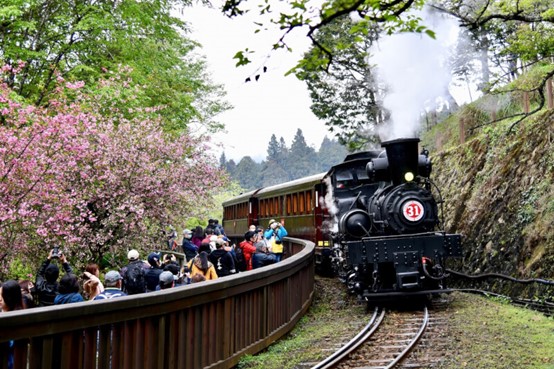 阿里山林鐵SL-31號蒸汽火車。圖/取自facebook.com/AlishanForestRailway.Taiwan